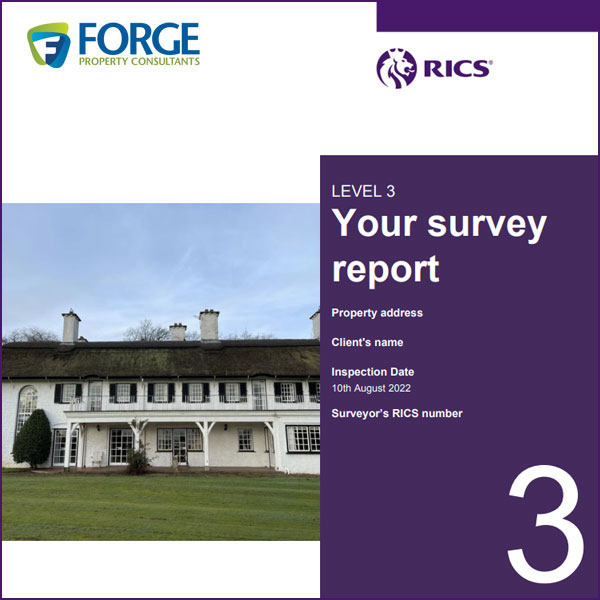 Example RICS Home Buyers Survey Report