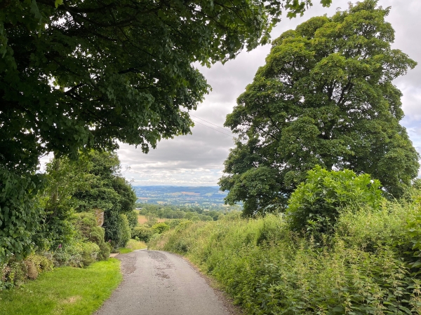 £110 million funding announced for rural communities in England
