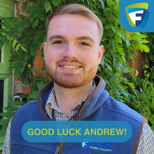 ANDREW'S PLACEMENT YEAR AT FORGE PROPERTY CONSULTANTS