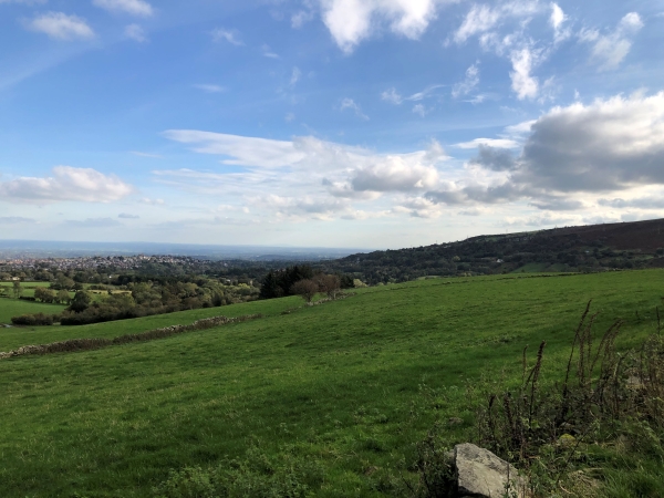 Further block of agricultural land available for sale in Wrexham