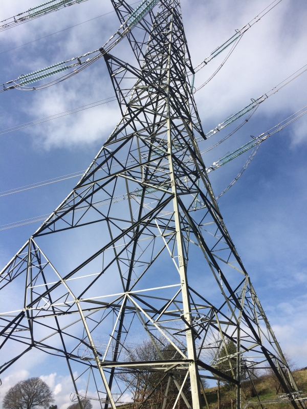 I've had a statutory notice of land entry served upon me by a utility company, what should I do?