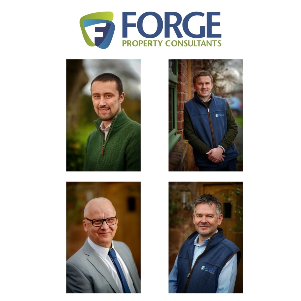 Meet our Building Surveying Team