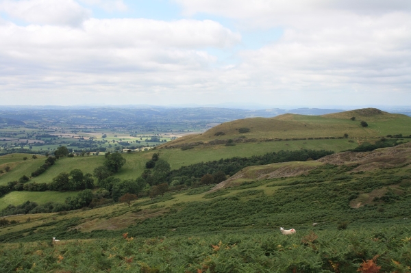 The Welsh Agriculture Act – sustainable land management for the future