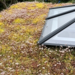 Going green from the top down