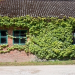 The outer limits – what to do with an outbuilding to increase your property’s value?