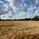 Utility work compensation claims: get expert help to maximise your claim entitlement