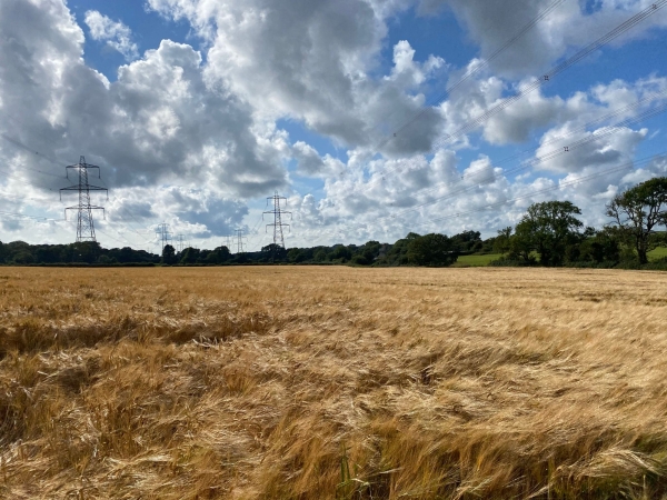 Utility work compensation claims: get expert help to maximise your claim entitlement